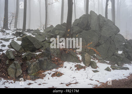 Felsen und Wald im Nebel bei Tauwetter Sleza Mount verschönerte Park Stockfoto