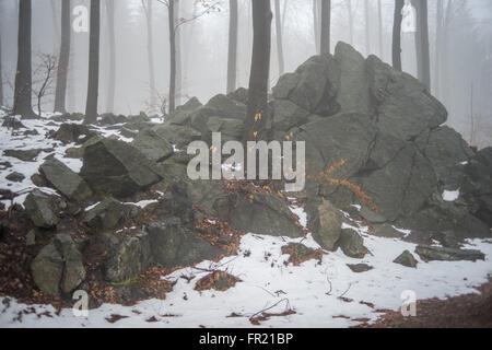Felsen und Wald im Nebel bei Tauwetter Sleza Mount verschönerte Park Stockfoto