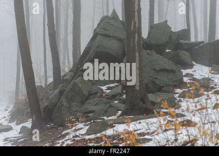 Felsen und Wald im Nebel bei Tauwetter Sleza Mount verschönerte Park Stockfoto