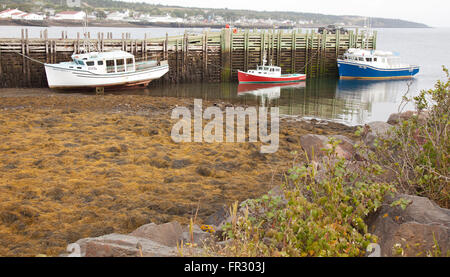 Angelboote/Fischerboote bei Ebbe in Nova Scotia angedockt Stockfoto