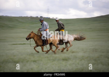 Pferde haben eine wichtige Rolle in der mongolischen Geschichte und Leben für Hunderte von Jahren und heute viele erfahrene Reiter immer noch fahren. Stockfoto