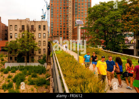 Die High Line, New York City, USA. Stockfoto