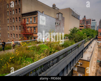 Die High Line, New York City, USA. Stockfoto
