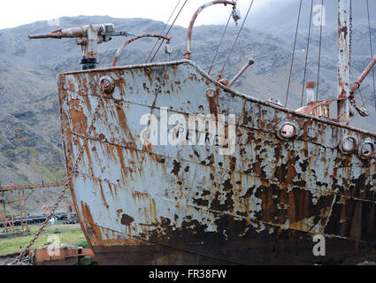 Eine Harpune Gewehr montiert auf den Bug des Bootes Walfang Petrel gestrandet in den Ruinen der Walfangstation Grytviken. Stockfoto