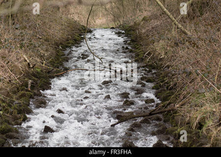 schnell fließende Strom über Felsen Stockfoto
