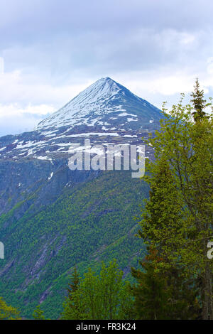 Berg Gaustatoppen in der Nähe von Rjukan, Norwegen, Sommerlandschaft Stockfoto