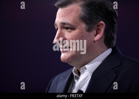 Senator und republikanische Präsidentschaftskandidat Ted Cruz während der amerikanischen Konservativen Union CPAC Jahreskonferenz am National Harbor 4. März 2016 in Oxon Hill, Maryland. Stockfoto