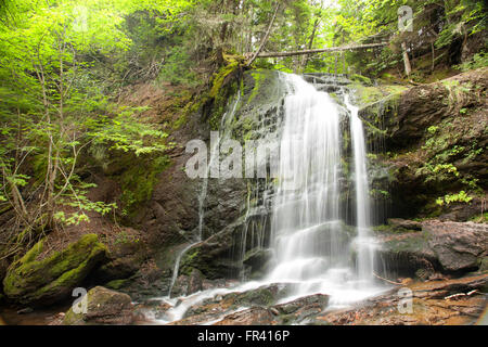 Wasserfall im fundy National park new Brunswick Kanada Stockfoto