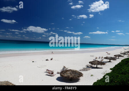 Natur: Pink Sand Beach in Harbour Island auf den Bahamas Stockfoto