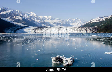 Harvard College Fjord, Alaska-Gletscher Stockfoto