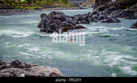 Kajakfahrer Navigation durch die White Water Rapids und Felsbrocken in den Fraser River, da der Fluss schlängelt sich durch den Fraser Canyon in BC, Kanada Stockfoto