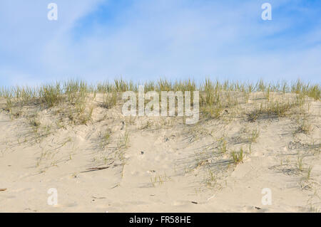 Sanddüne mit Grass Stockfoto