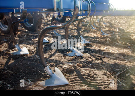 Im Frühjahr an einem sonnigen Tag auf Feld pflügen Stockfoto