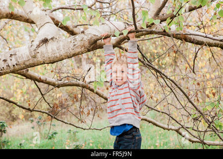 Porträt lächelnd Kleinkind von Ast hängen Stockfoto