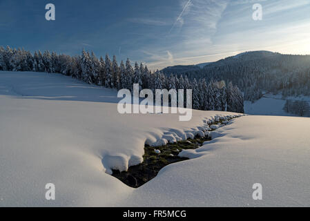 Winter im Schwarzwald Stockfoto