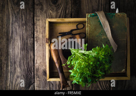 Basilikum, einem Buch und einem Mörser auf einem Holztisch horizontale Stockfoto