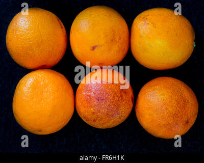 Blutorangen reif und sehr lecker Stockfoto