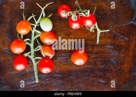 Cherry-Tomaten am Rebstock Stockfoto