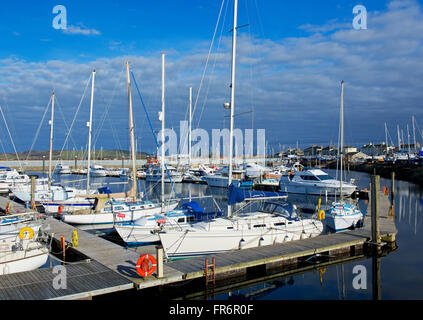 Troon Yacht Haven, South Ayrshire, Schottland, Großbritannien Stockfoto