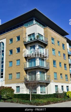 Appartementhaus in Royal Arsenal, Woolwich, London, England, UK Stockfoto