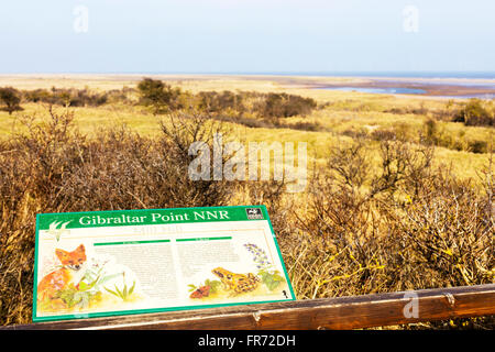 Gibraltar Point NNR National Nature Reserve Zeichen Küste Küste Meer Sumpf Sumpf Skegness Lincolnshire UK England Stockfoto