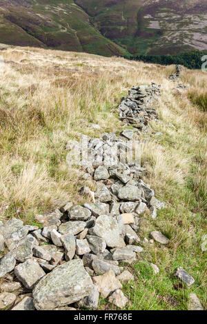 Moorland Hügel mit einem eingestürzten Steinmauer. Blick nach unten in Richtung der Grünen an Grindsbrook Clough, Derbyshire, Peak District, England, Großbritannien Stockfoto