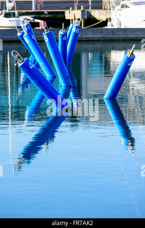 Blau, nummerierte Liegeplätze in einer Marina. Keine Boote an sie gebunden. Ruhiges Meer und feinen Reflexionen der Bojen im Wasser. Stockfoto