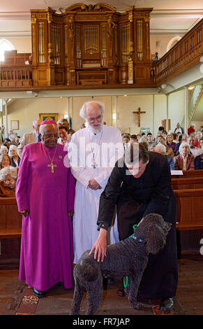 Erzbischof Tutu und der Erzbischof von Canterbury an Str. Marys Kirche Hay-on-Wye mit Fr Richard Williams und sein Hund Stockfoto