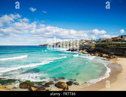 Tamarama Beach-Blick in der Nähe von Bondi in Sydney, Australien Stockfoto