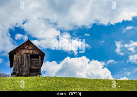 Berghütte auf der grünen Wiese Stockfoto