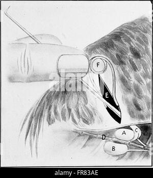 Dieses 1914 erschienene Lehrbuch konzentriert sich auf die Tierkastration mit detaillierten Beschreibungen und über 200 fotografischen Illustrationen. Es ist für Studenten und Fachleute im Veterinärbereich bestimmt und bietet praktische Informationen über das Verfahren und seine Anwendung in der Tierhaltung. Stockfoto