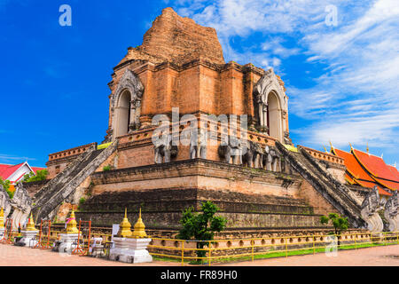 Chiang Mai, Thailand am Wat Chedi Luang. Stockfoto