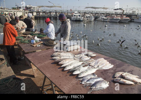 Verkauf von Fisch im Hafen Nuestra Senora De La Candelaria Stockfoto