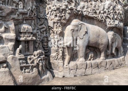 Herabkunft des Ganges, Mahabalipuram, Tamil Nadu, Indien, Asien Stockfoto