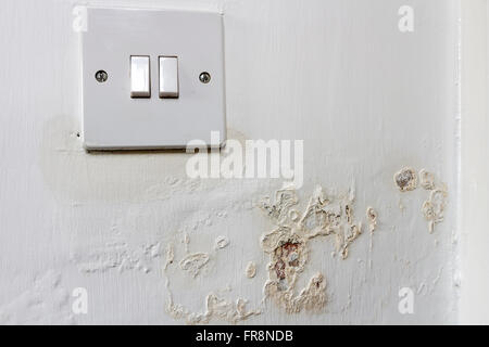 Feuchten Auslaugung von einer Wand und um ein Lichtschalter in einer gemieteten Haus wo der Wirt hat es versäumt, das Problem, UK Stockfoto