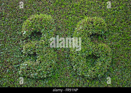 Formschnitt Stil Hausnummern abgeschnitten in eine Liguster-Hecke in einem inländischen, Wohn Ambiente Stockfoto