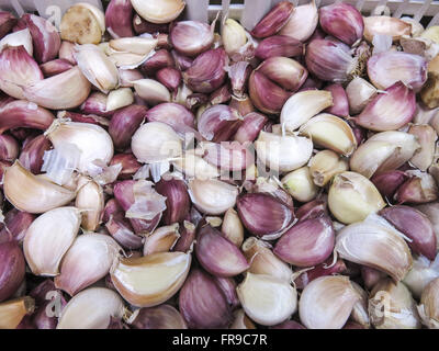 Knoblauch-Verkauf in der Lapa-Markt Stockfoto