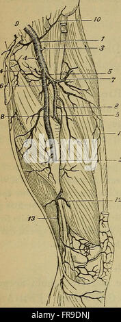 Kommentare zu der Operation des Krieges in Portugal, Spanien, Frankreich und den Niederlanden, aus der Schlacht von RoliC3A7a, 1808, Waterloo, 1815; mit Ergänzungen in Bezug auf diejenigen auf der Krim Stockfoto