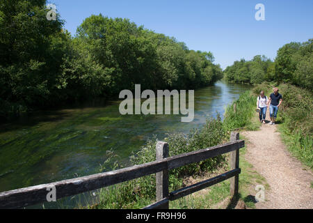 Fluss Itchen, Hampshire, England Stockfoto