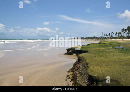 Porto de Galinhas Beach in Ipojuca - Metropolregion Recife - PE Stockfoto