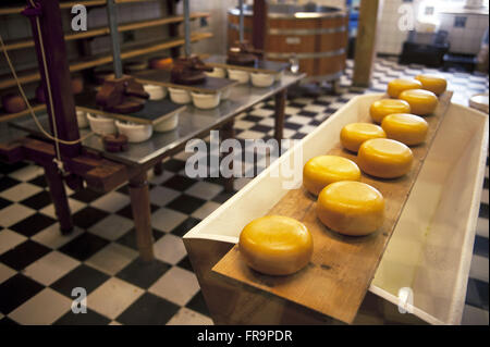 Herstellung von Käse im Dorf Zaanse Schans - Nord-Holland Stockfoto