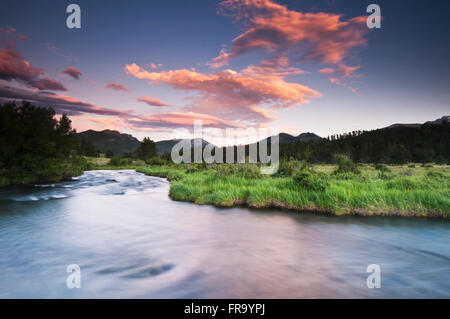 Evening colors in meadow stream, Rocky Mountain National Park; Colorado, United States of America Stockfoto