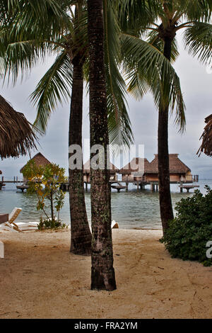 Insel Moorea, Französisch-Polynesien. Pool-Bereich und über dem Wasser Bungalow Zimmer von Moorea Pearl Resort. Stockfoto