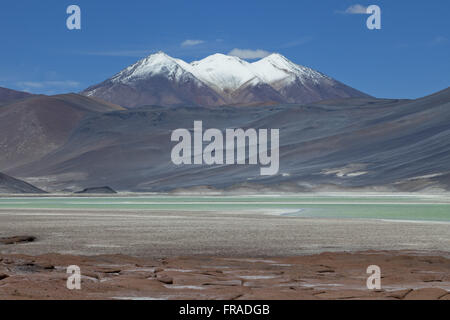 Lagune und der Vulkan in Piedras Rojas in der Salar de talarer - Atacama-Wüste Stockfoto