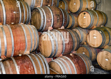 Eiche Fässer für das Altern Wein im Keller des Weinguts Anura - Dorf Klapmuts Stockfoto