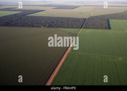 Luftaufnahme der Straße durch Mais-Plantagen und Wald behält sich vor, um die Landschaft zu finanzieren Stockfoto