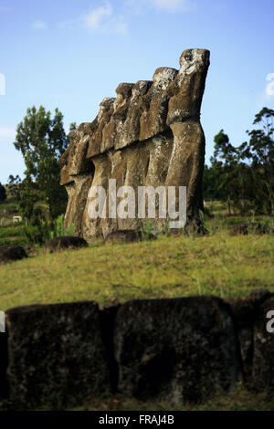 Moais am Ahu Akivi Sektor - Nationalpark Rapa Nui auf der Osterinsel Stockfoto