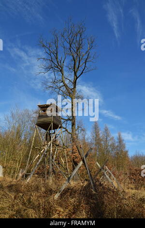 Hochsitz aus Holz Jäger verstecken sich im Wald mit blauem Himmel Stockfoto