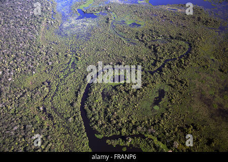 Luftaufnahme des Pantanal im Zuge des Río Paraguay Stockfoto