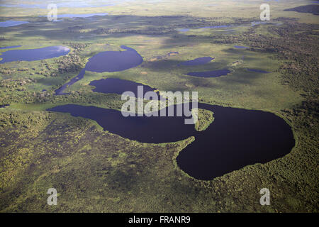 Luftaufnahme des Pantanal im Zuge des Río Paraguay Stockfoto